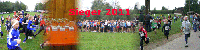 Sieger 2011